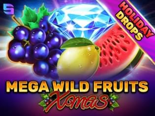 Mega Wild Fruits - Xmas game icon